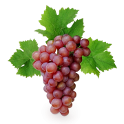 Концентрат винограда сок красный 65+-0,5% (270 кг)