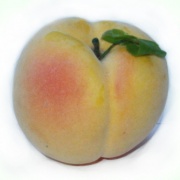 Yellow peach concentrate (200 kg)