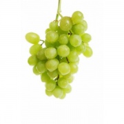 Grape concentrate 65+-0,5% (200 kg)